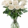Ζέρμπερες Dragatakis Flowers Marousi 3