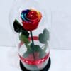 Forever Roses ουράνιο τόξο σε γυάλινη καμπάνα