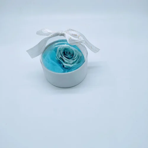 Forever Roses γαλάζιο σε θόλο plexyglassπροστατευμένο με έναν θόλο από plexy glass