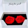 2 Forever Roses κόκκινα σε λευκή μαγνητική κασετίνα