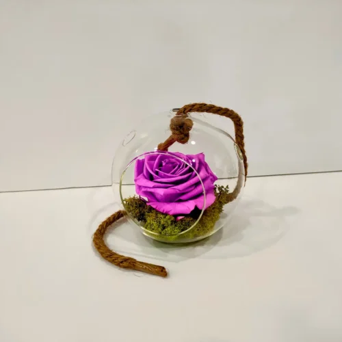 Forever Roses λιλά σε στρογγυλή γυάλα